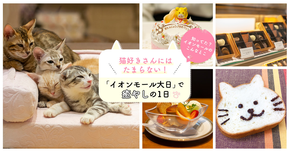 イオンモール大日で 猫といっしょに癒やしの１日 Pr Lmaga Jp