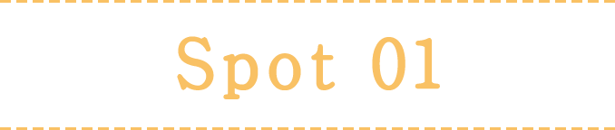 Spot 01