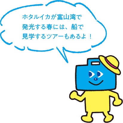 ホタルイカが富山湾で発光する春には、船で見学するツアーもあるよ！